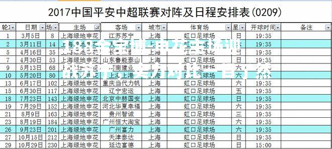 申花主场迎战苏宁，实力对比一目了然